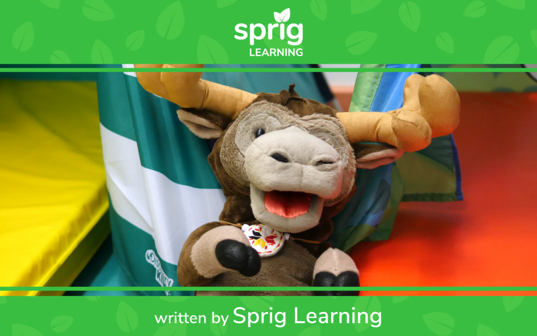 What Can Sprig Learning Do For You