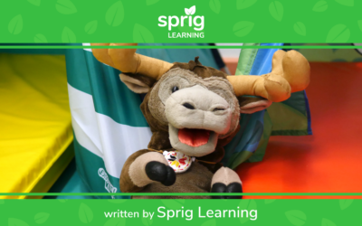 What Can Sprig Learning Do for You?