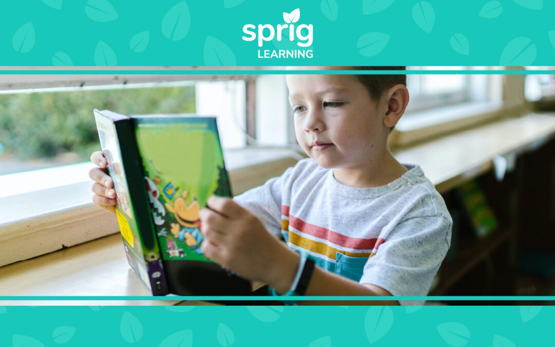 Design a Summer Reading Program for Early Literacy