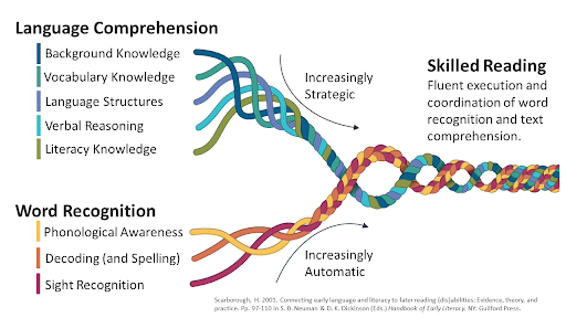 Scarborough Rope Model of Skilled Reading