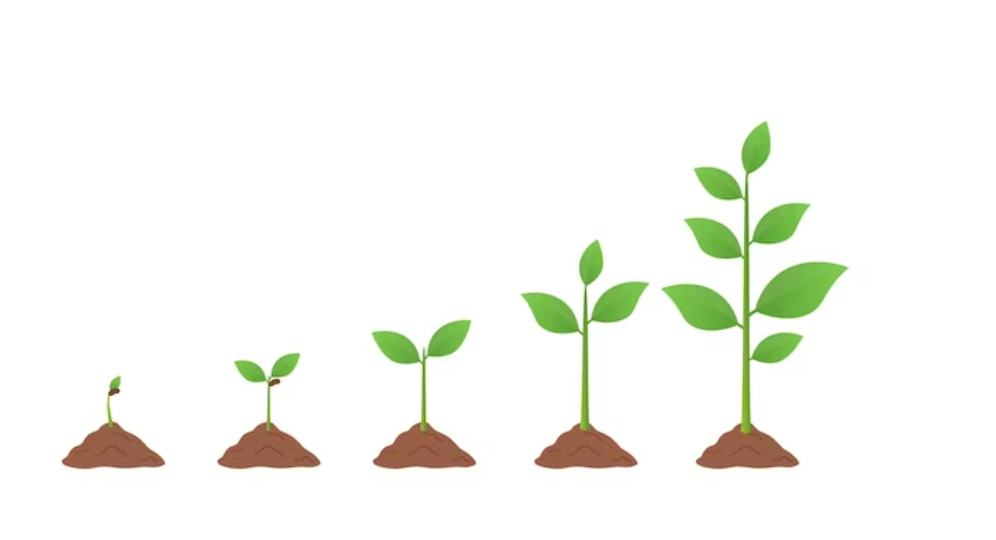 Stages of Literacy Development